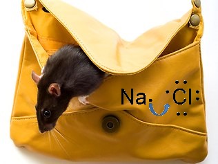 I found it disturbing that it was much easier to find a usable picture of a rat in a bag on the Internet than to find one of the ionization process.