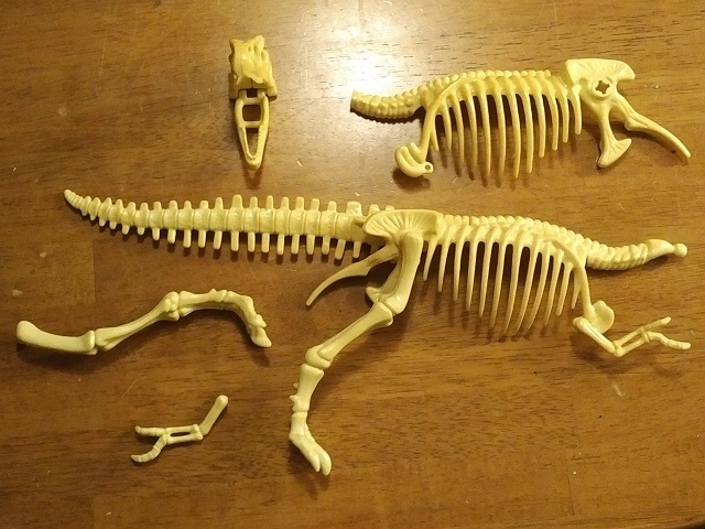 Dem bones, dem bones, dem plastic bones,